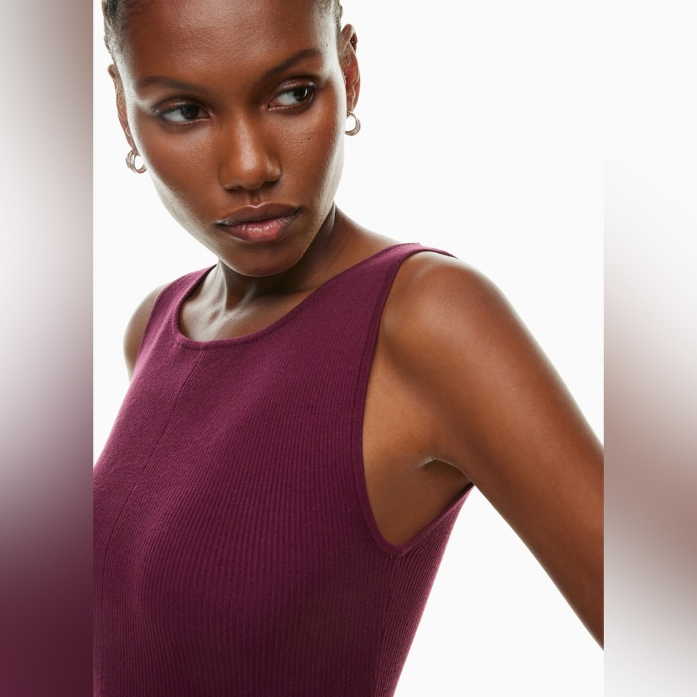 Aritzia Wilfred Tierra Dress, spiced burgundy, body-con dress, 2xs - Picture 5 of 15